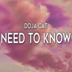 ترجمه آهنگ Need To Know از Doja Cat