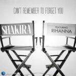 ترجمه آهنگ Cant Remember to Forget You از Shakira و Rihanna