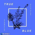 ترجمه آهنگ True Blue از Billie Eilish