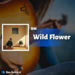 ترجمه آهنگ Wild Flower از RM