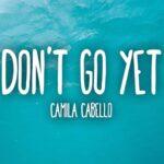 ترجمه آهنگ Don’t Go Yet از Camila Cabello