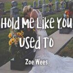 ترجمه آهنگ Hold Me Like You Used To از Zoe Wees
