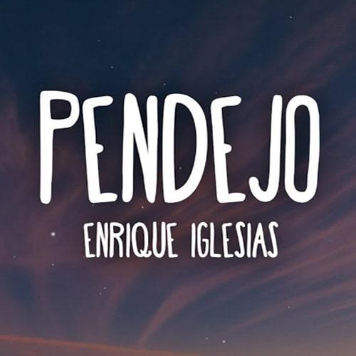 ترجمه آهنگ PENDEJO از Enrique Iglesias