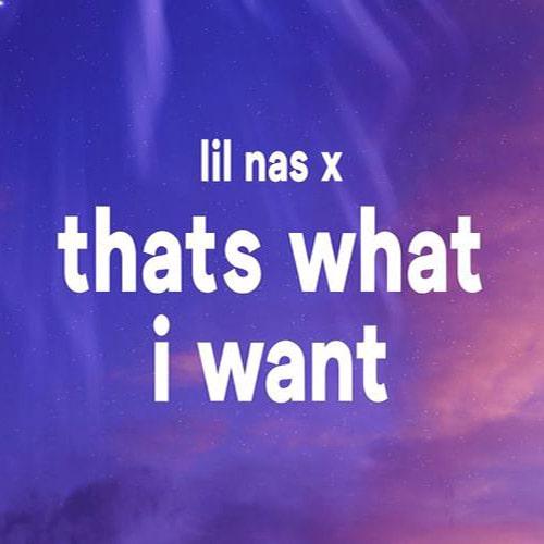 ترجمه آهنگ THATS WHAT I WANT از Lil Nas X