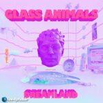 ترجمه آهنگ Heat Waves از Glass Animals