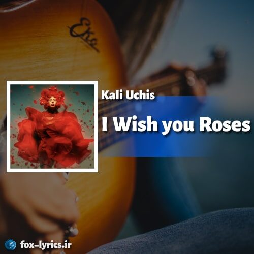 دانلود آهنگ I Wish you Roses از Kali Uchis + متن و ترجمه