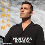 دانلود آهنگ Tamam Tamam از Mustafa Sandal + ترجمه
