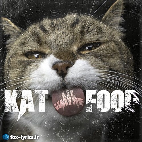 دانلود آهنگ Kat Food از Lil Wayne