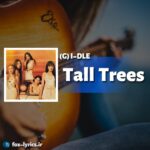 دانلود آهنگ Tall Trees از G I-DLE
