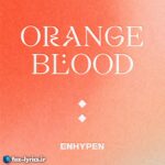 دانلود آهنگ Orange Flower (You Complete Me) از ENHYPEN + ترجمه