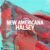 دانلود آهنگ New Americana از Halsey + ترجمه