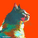 دانلود آهنگ Mainichi (Every Day) از Kenshi Yonezu