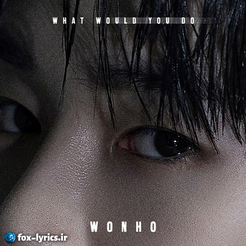 دانلود آهنگ What Would You Do از WONHO