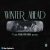 دانلود آهنگ Winter Ahead از V (Taehyung of BTS) و PARK HYO SHIN + ترجمه