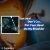 دانلود آهنگ Don't Cry Put Your Head On My Shoulder از Tom Odell + ترجمه