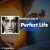 دانلود آهنگ Perfect Life از Damiano David