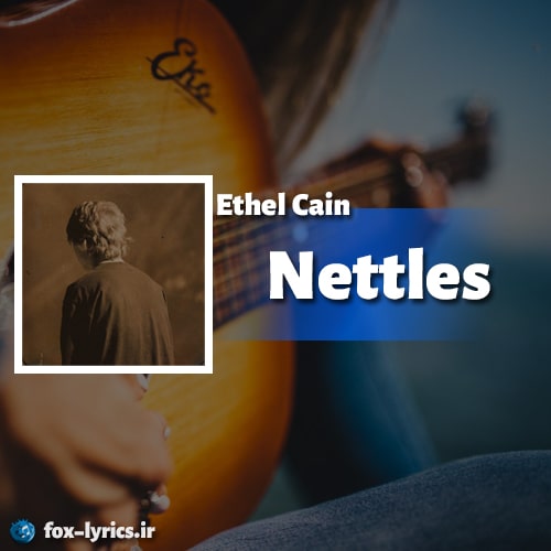 معنی آهنگ Nettles از Ethel Cain + دانلود و پخش