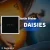 دانلود آهنگ DAISIES از Justin Bieber همراه با ترجمه