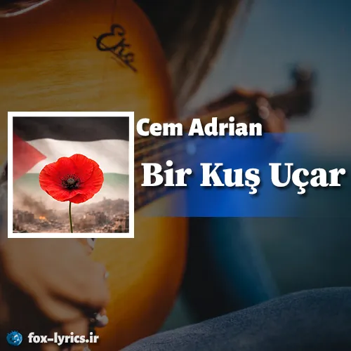 دانلود آهنگ Bir Kuş Uçar از Cem Adrian همراه با ترجمه